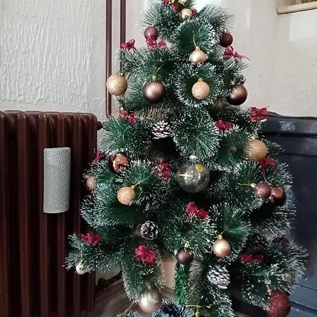 Anna Apartment